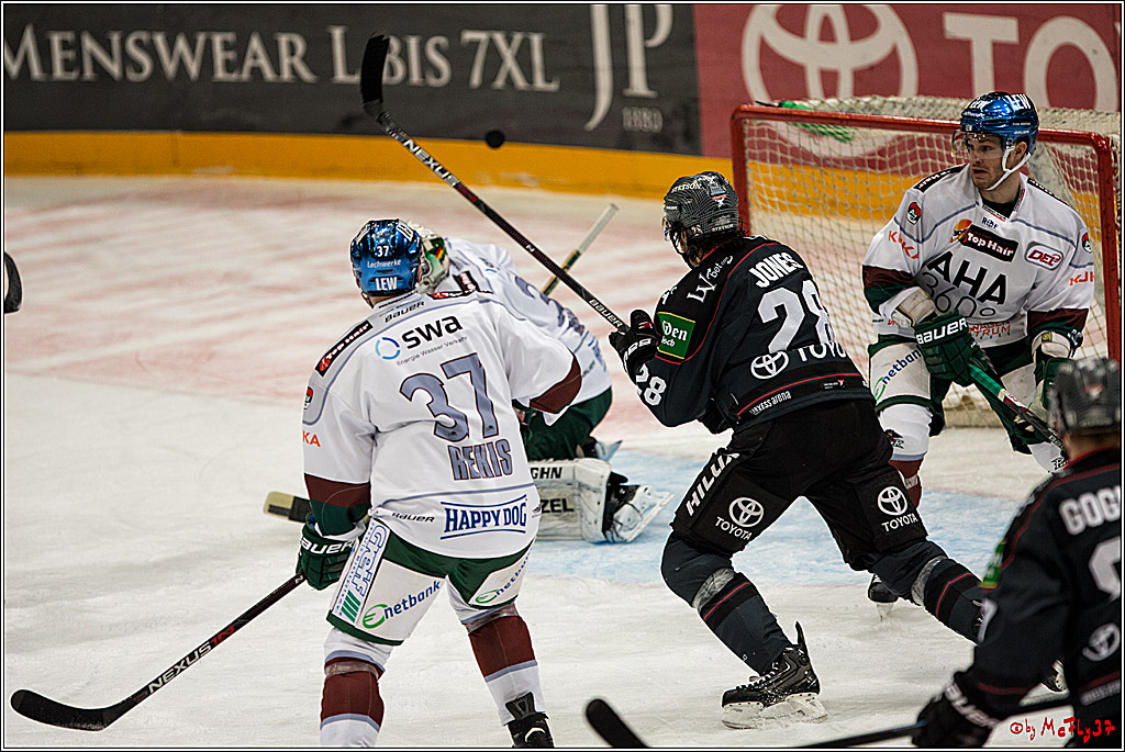 DEL, Koelner Haie - Augsburger Panther, 13.01.2017